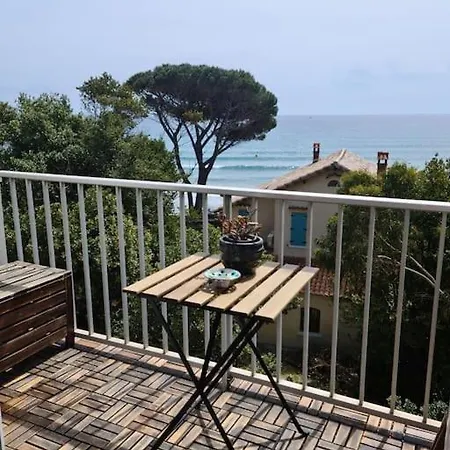 Les Sablettes Les Pieds Dans L'eau La Seyne-sur-Mer