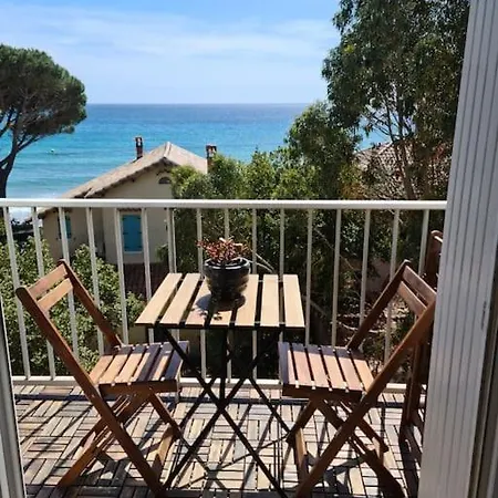 Apartment Les Sablettes Les Pieds Dans L'eau